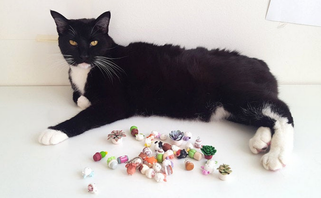 An image of Bosley the cat with my charms