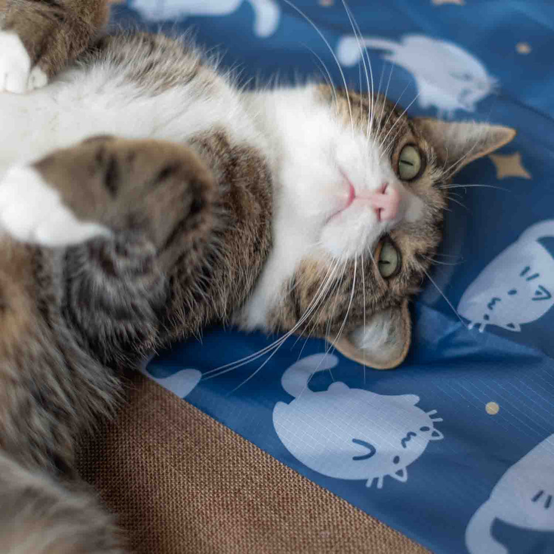 Foldable Bag - Starry Luna Cats