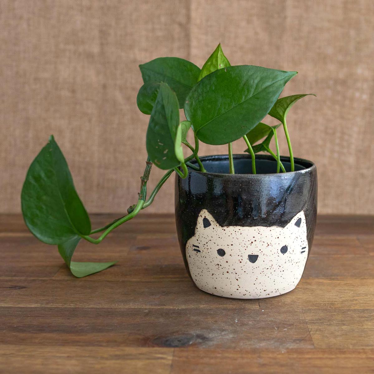 Little kitty planter, 33