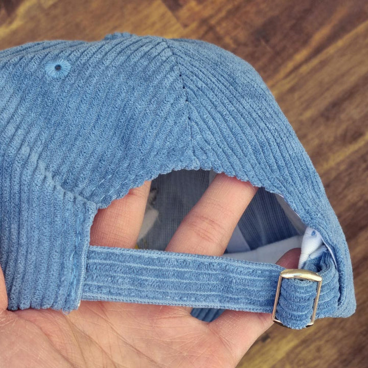 Corduroy cap - Seagull, blue