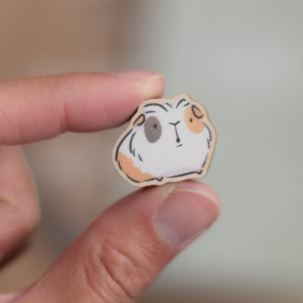 Magnet set - Guinea pigs, set 1