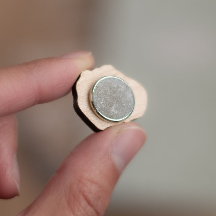 Magnet set - Guinea pigs, set 1