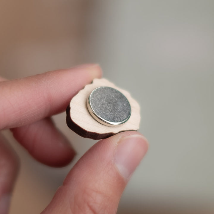 Magnet set - Guinea pigs, set 3