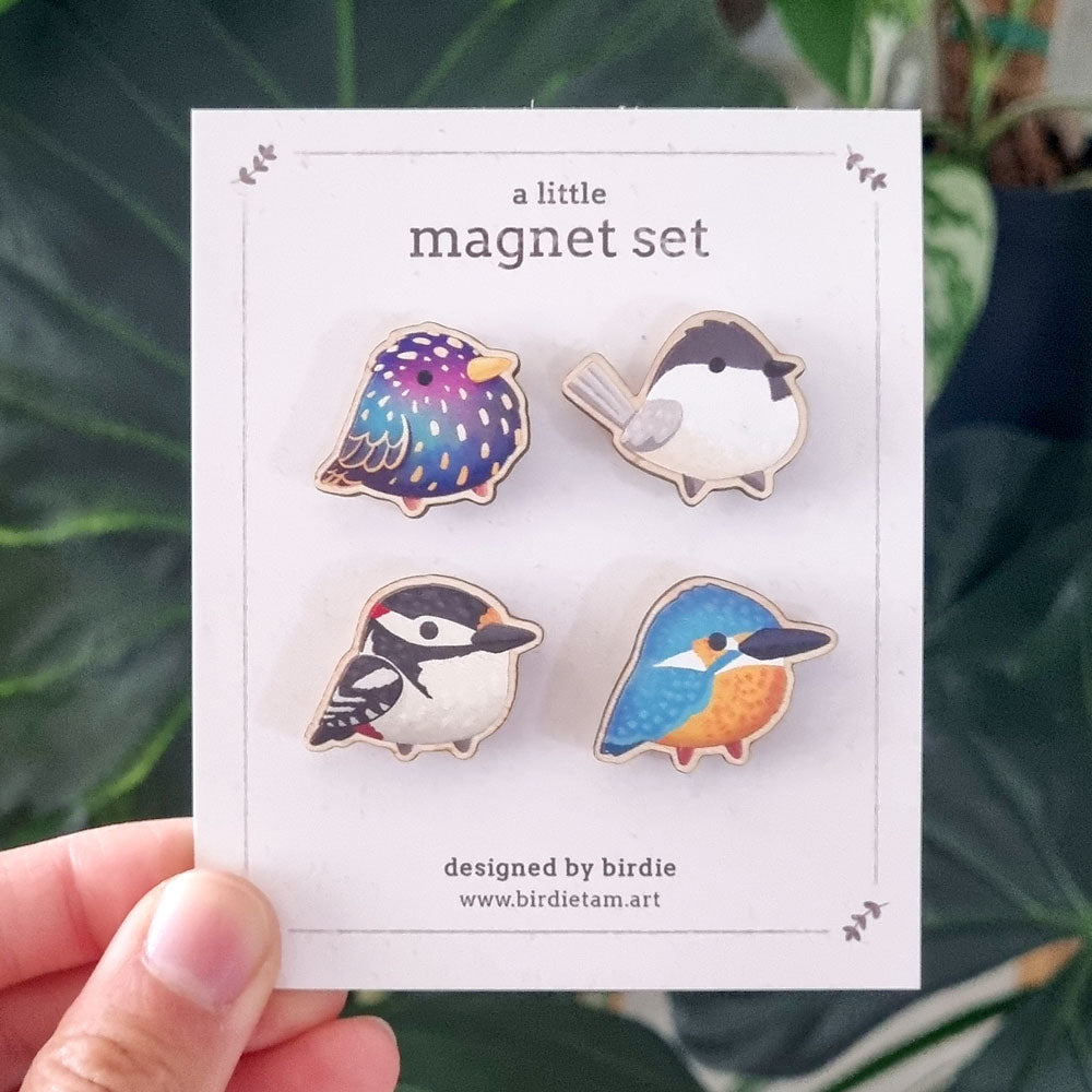 Magnet set - European sonbirds, set 2