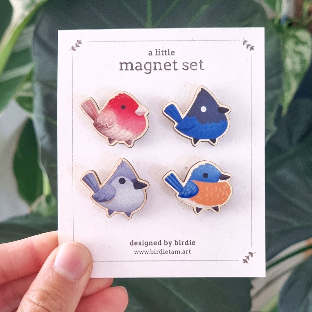 Magnet set - North American sonbirds, set 2