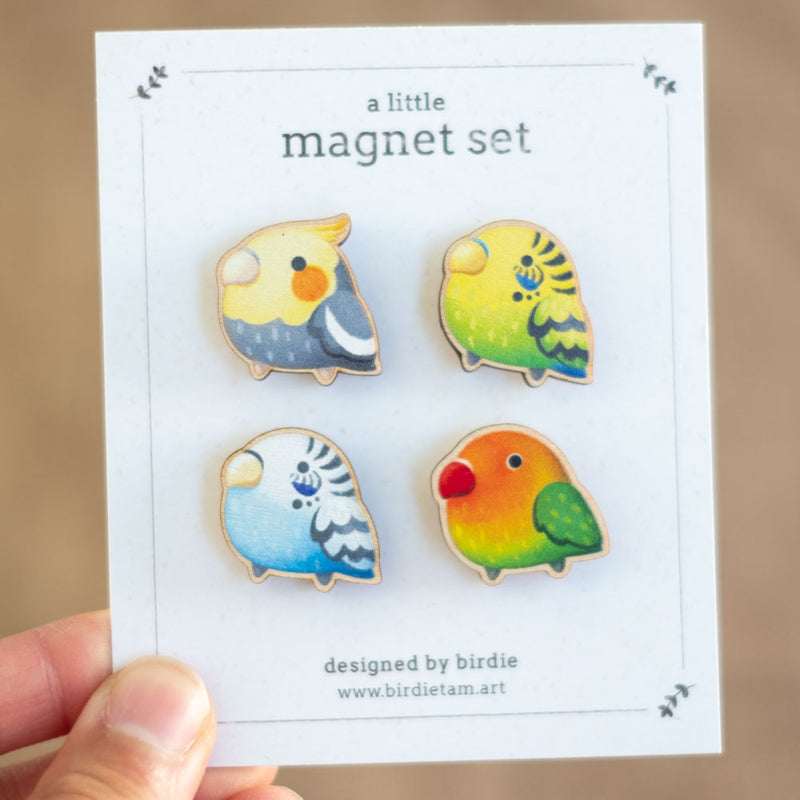 Magnet set - Small parrots