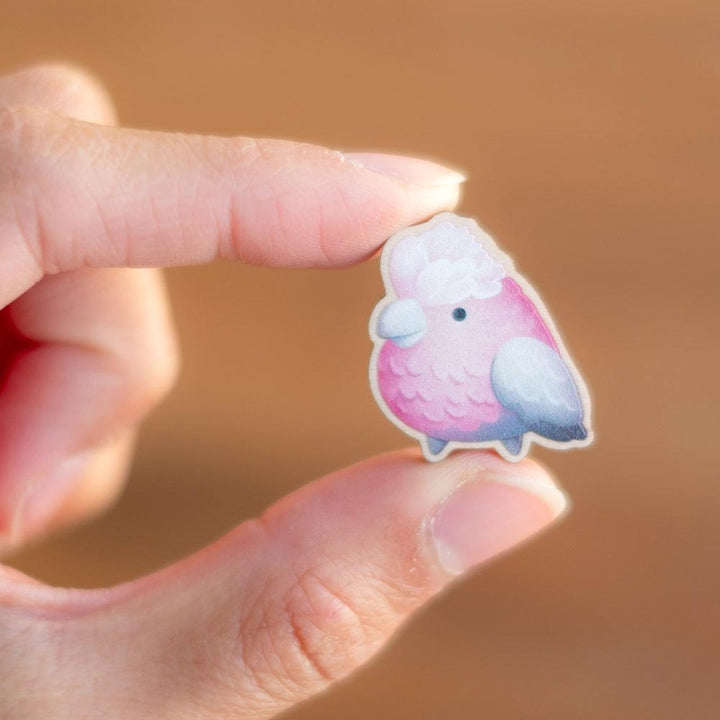 Magnet set - Australian birds