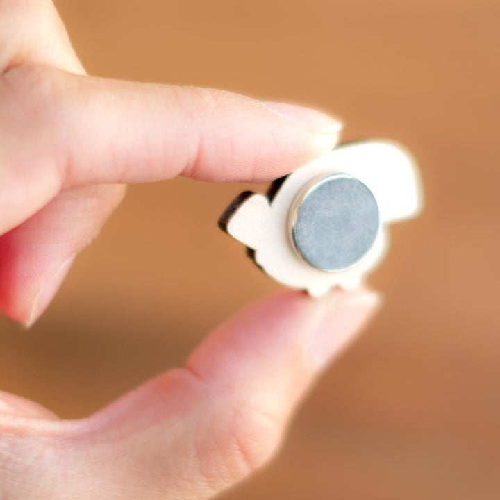 Magnet set - South American birds