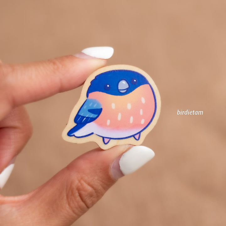 Magnet set - European Birdies