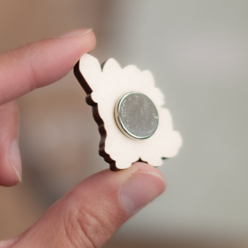 Magnet set - PotRTm, set C