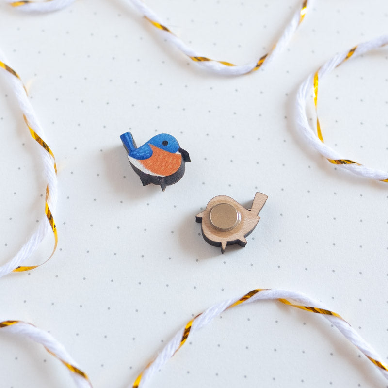 Mini magnets - North American songbirds