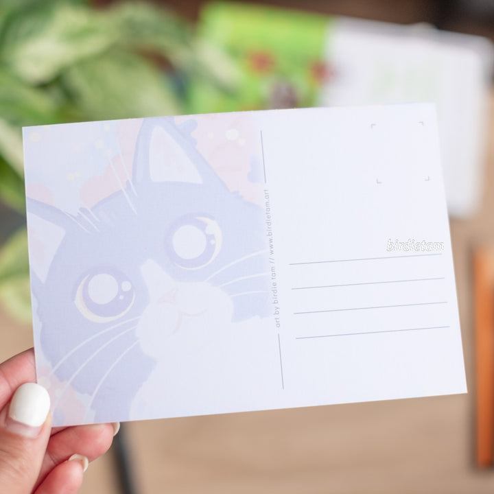 Postcard - Cat blossoms