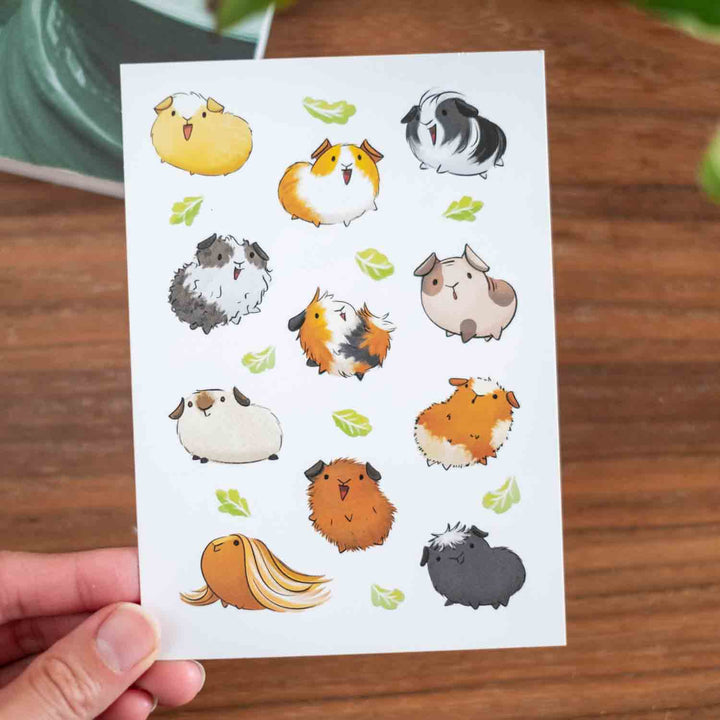 Postcard - guinea pigs