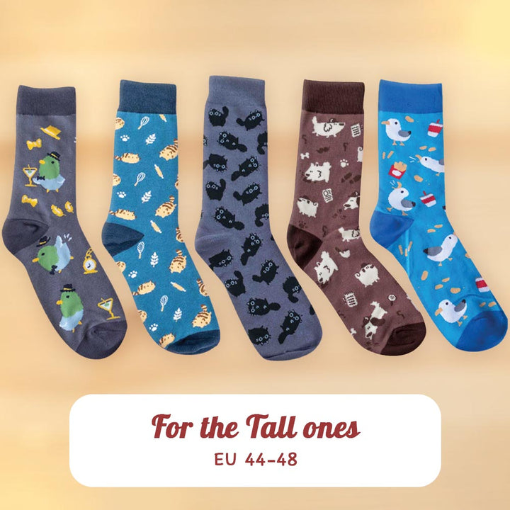 Socks Bundle - For the tall ones