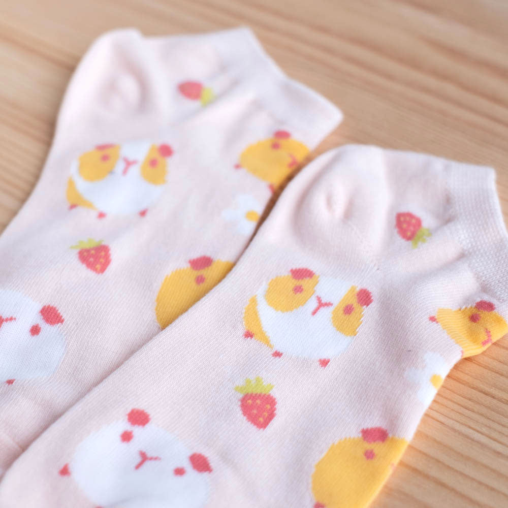 Socks - Sweet guinea pigs set of 2