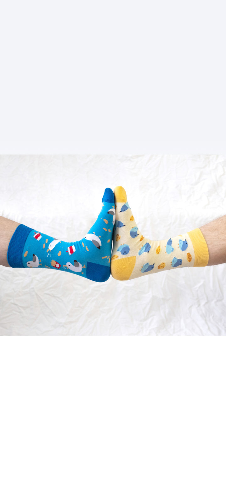 Sock bundle - For bird lovers
