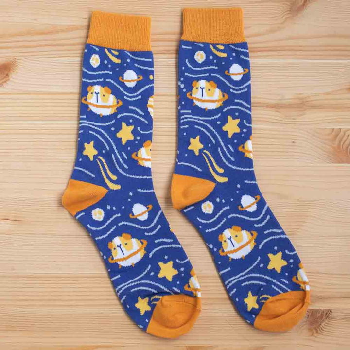 Socks - Guinea pigs in space