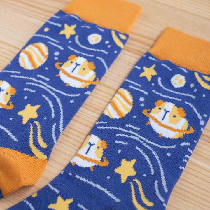 Socks - Guinea pigs in space