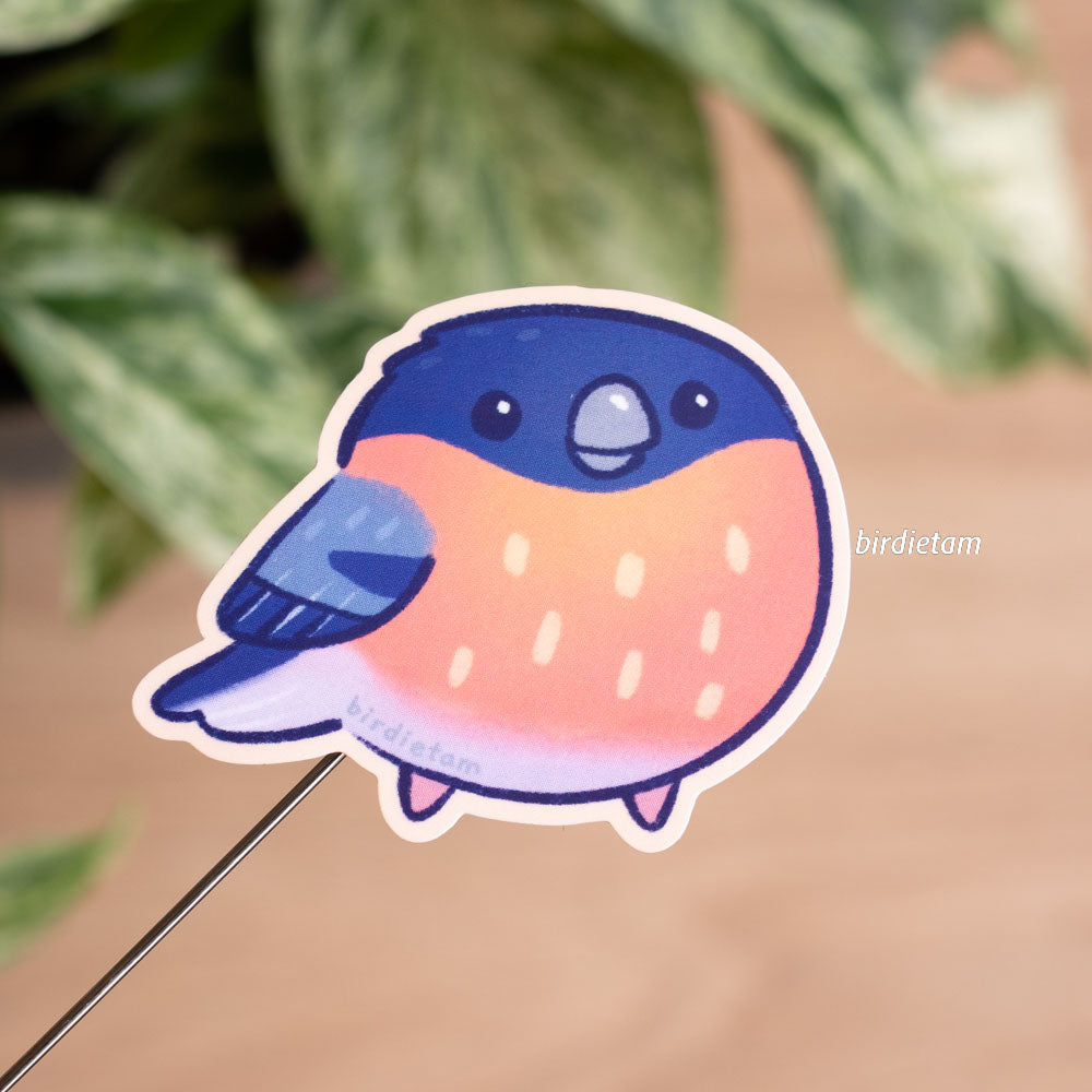 Vinyl sticker - Bullfinch