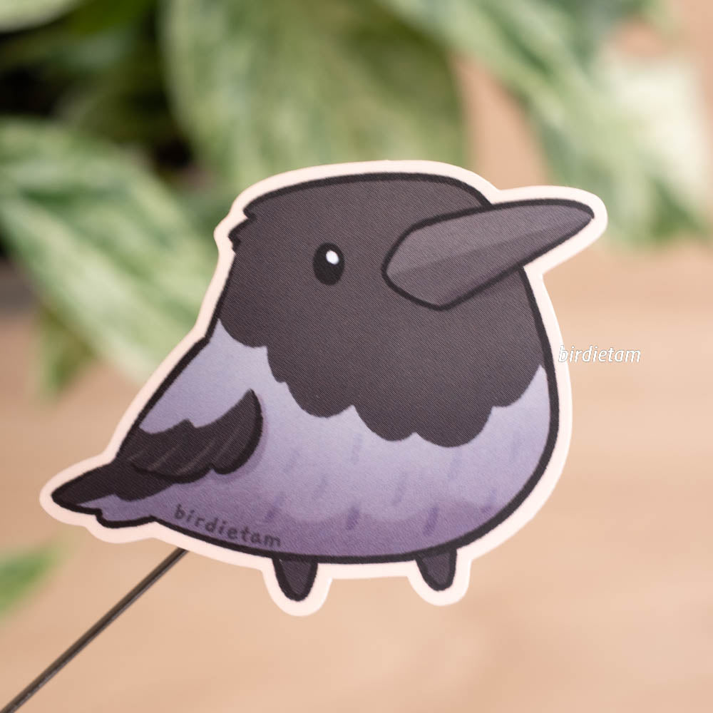 Vinyl sticker - Hooded Crow
