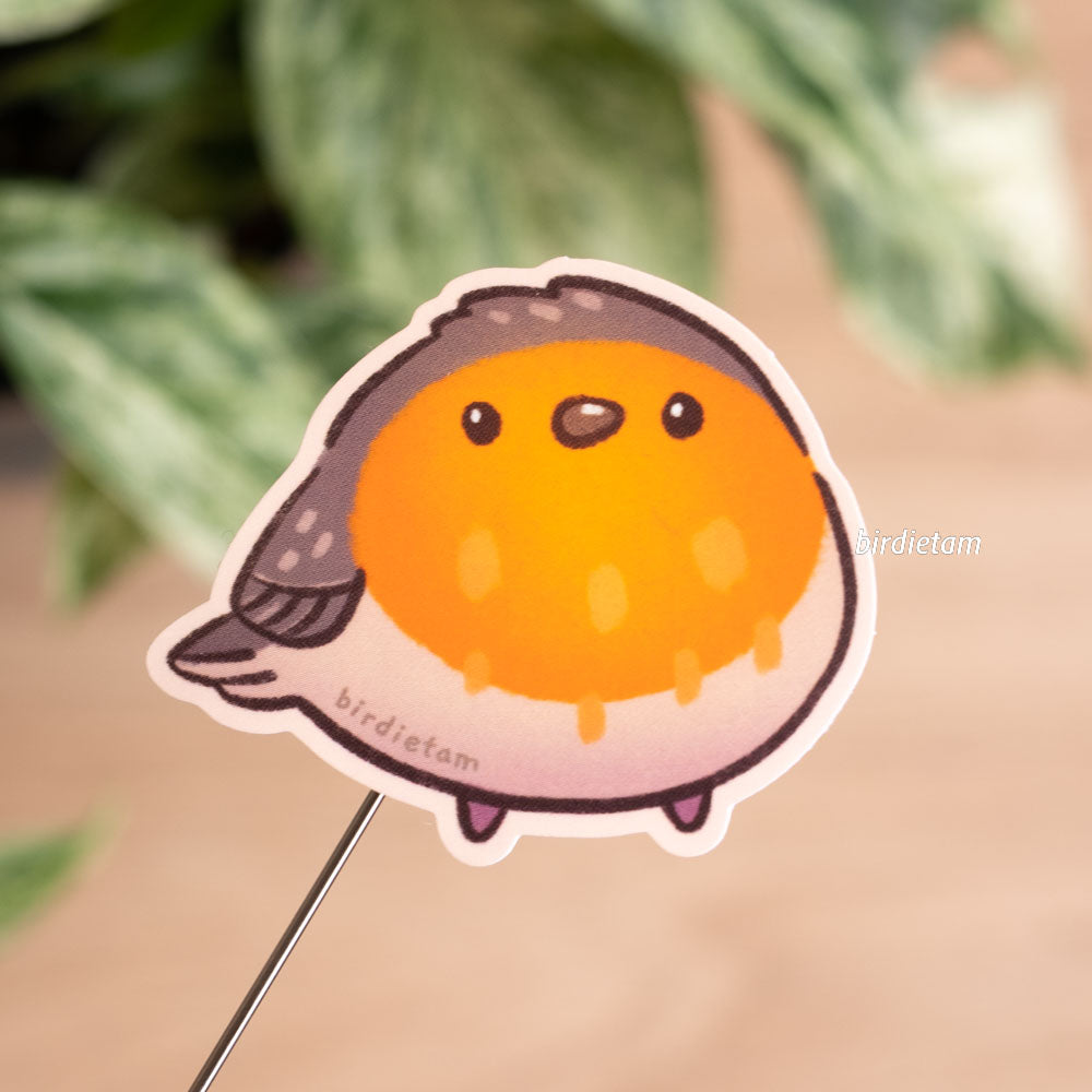 Vinyl sticker - European Robin