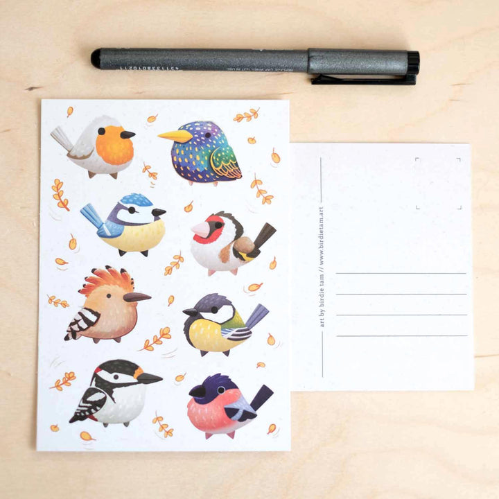 Postcard - European birds