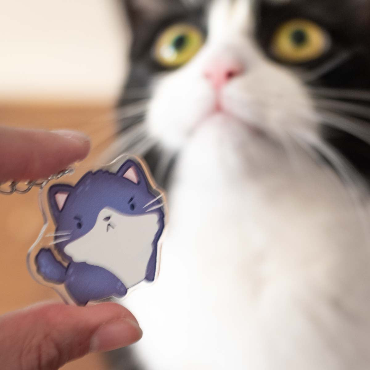 Keychain - Cat, grumpy tuxedo